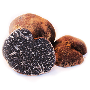 La truffe, c'est quoi ? C'est un champignon - Agritruffe